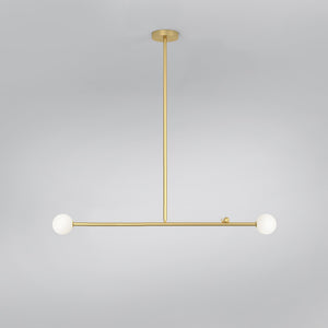 Scale 457 Pendant Light 1 Animal · €1925 · ATELIER ARETI | CURATED BY EYEDS
